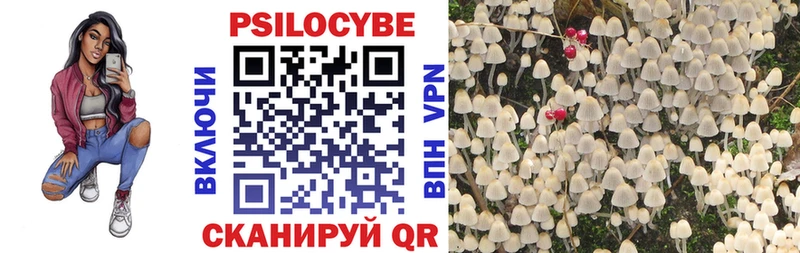 Псилоцибиновые грибы мицелий  Фёдоровский 